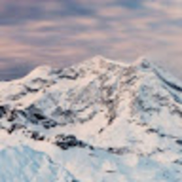 Meet your Posher, Abigail - Picture 1 of 1